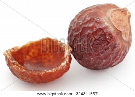 Sapindus Mukorossi Or Indian Soapberry Use In Many Pharmacological And Cleansing Purposes