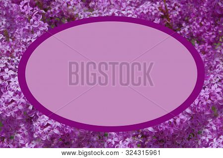 Purple Frame With Small Flowers Of Lilac.