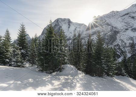Snowy Fir Trees And Snow-capped Mountain Peaks In Ehrwald, Austria. Winter Landscape With Snow And S