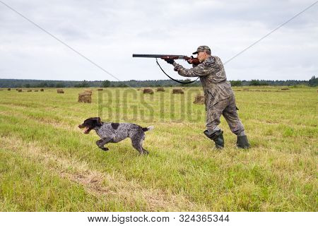 Hunter Shoots A Shotgun At A Bird Found By A Hunting Dog In A Mown Meadow