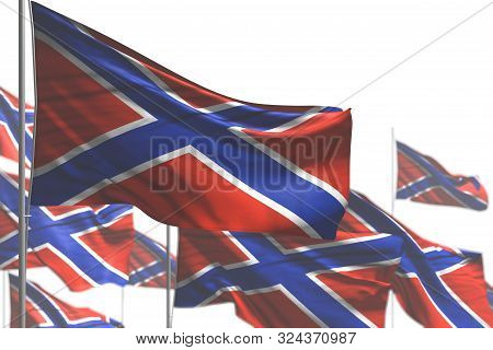 Beautiful Many Novorossia Flags Are Wave Isolated On White - Picture With Bokeh - Any Holiday Flag 3