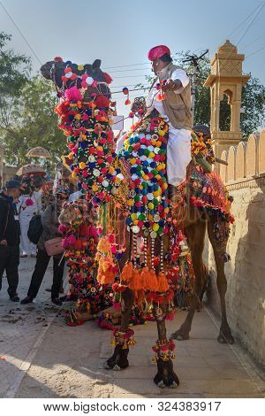Jaisalmer, India - February 17, 2019: Ceremonial Procession Camels And Riders In Desert Festival In 