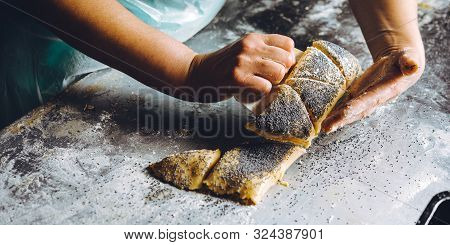 Cookie Making Factory Bakery Fresh Cook Biscuit