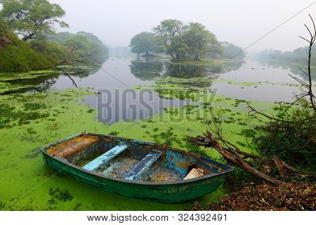Canoe In Lake With Moss At Bharatpur In Rajasthan, India