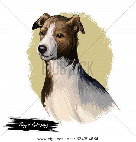 Magyar Agar Puppy Dog Sighthound Canine Digital Art. Austro-hungarian Empire Originated Pet, Domesti
