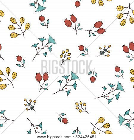 Seamless Background Pattern With Leaf, Plants, Flowers, Berries. Hand Draw Botanic Vector Stock Illu