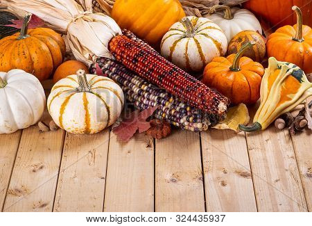 Assortment Of Fall Mini Pumpkins And Indian Corn On A Wooden Surface With Copy Space