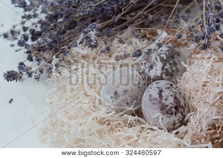Paschal Colored Eggs In The Nest On White Background With Lavender Twings. Easter Decoration.