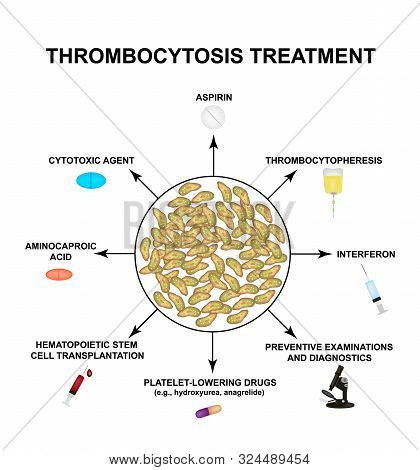 Thrombocytosis Treatment. An Increase In Platelets In The Blood. Infographics. Vector Illustration O