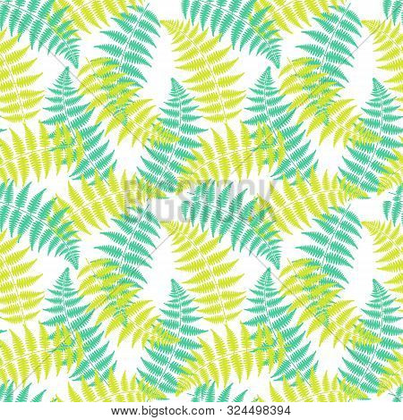 Green Fern Leaf Seamless Pattern On White Background. Floral Decor For Wallpaper. Vivid Fern Leaf Ba
