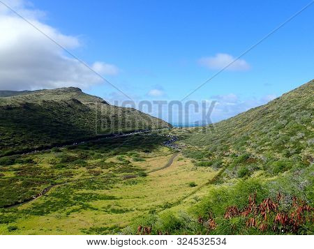 Lush Valley With Road Within Kaiwi State Scenic Shoreline