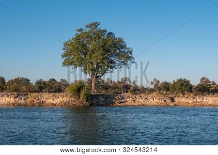 Landscape On The Bank Of The River Okavango With Trees And Bushes In Namibia, Africa