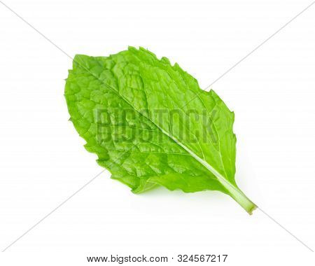 Mint Leave, Mint Leave Isolated On White Background