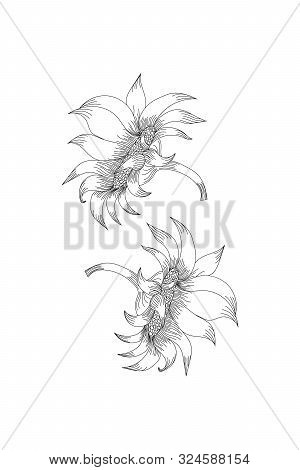 Flowers, Sun Plower Line Expand Icon On White Background