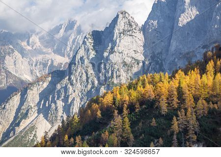 Alpine Autumn Landscape With Yellow Larch Forest, Near Kranjska Gora, Julian Alps, Slovenia, Europe