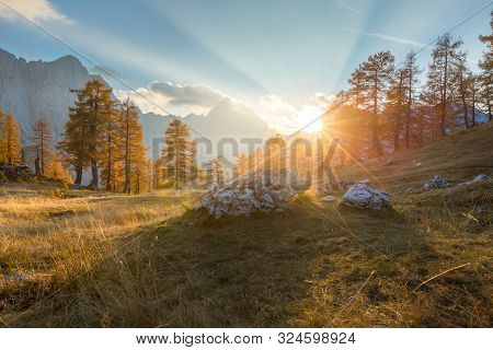 Alpine Autumn Landscape With Yellow Larch Forest, Near Kranjska Gora, Julian Alps, Slovenia, Europe