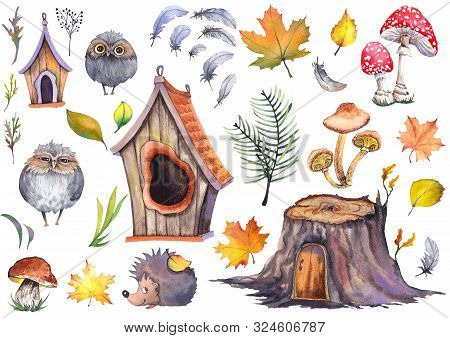 Forest Set With Cute Owls, Hedgehog, Birdhouses, Tree Stump, Mushrooms And Colorful Autumn Leaves. W