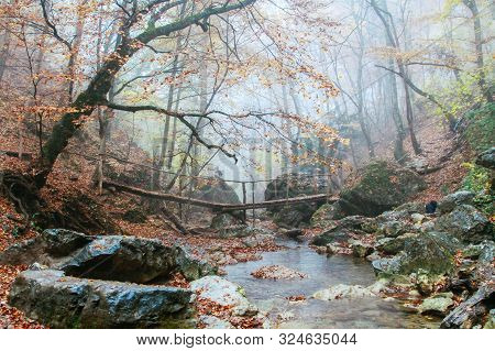 Beautiful Wooden Bridge Over A Mountain River In Fall. Autumn Forest. Jur-jur, Crimea.