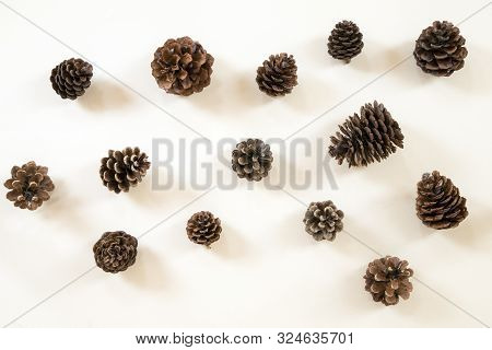 Pine Cones On A White Wooden Background