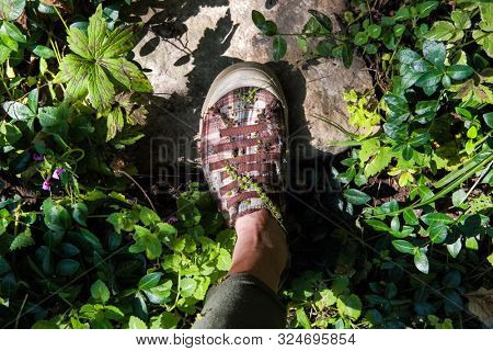 Shoes with various burrs stuck on them during a walk