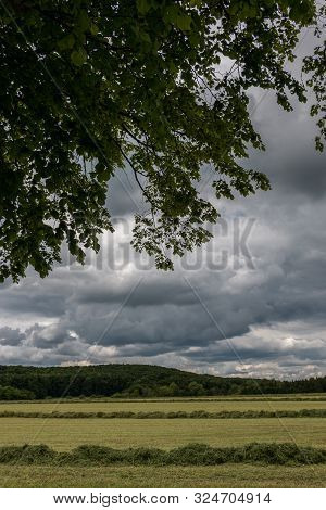 Big Meadow With Cut Grass In The Middle Of The German Countryside