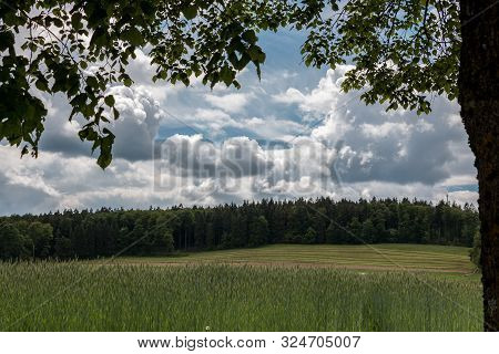 Big Grainfields In The Middle Of The German Countryside