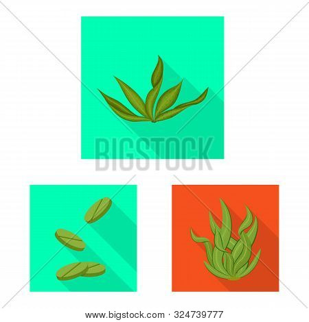 Vector Illustration Of Protein And Sea Icon. Collection Of Protein And Natural Vector Icon For Stock