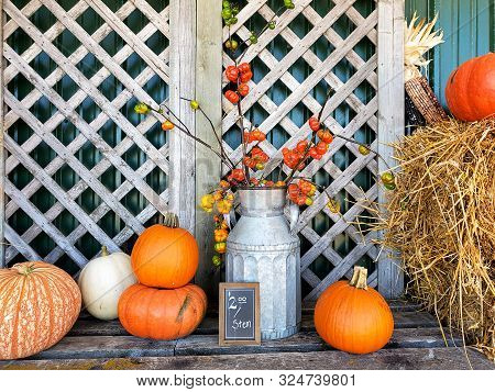 Fall Pumpkins And Old Metal Milk Can With Decorative Gourd Stems And Chalkboard Sign In Farmers Mark