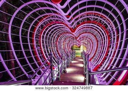 A Stairway Leading Through A Tunnel Of Hearts In Jewangsan Park In Chinhae, South Korea