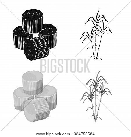 Isolated Object Of Farm And Agriculture Logo. Set Of Farm And Technology Stock Symbol For Web.