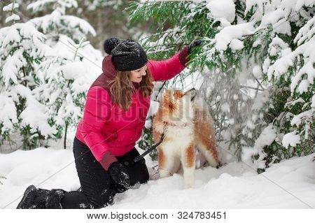 Portrait With A Cute Fluffy Puppy. Winter Walk With A Dog. Young Woman Walks With The Puppy, Snowy W