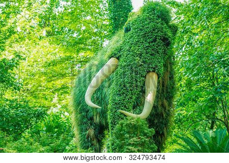 A Plant Living Sculpture Of A Wolly Mammoth With Ivory Tusks