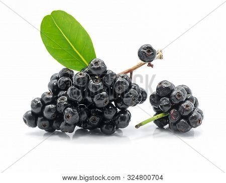 Fresh Jambolan Plum Isolated On White Background