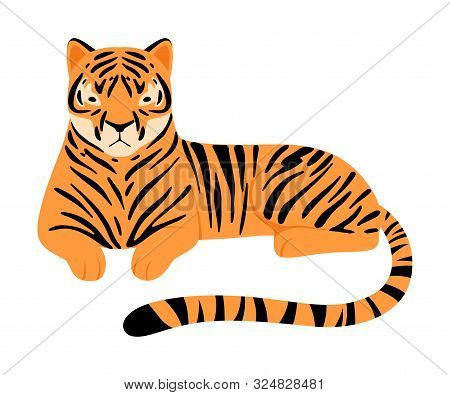 Striped Tiger. Vector Illustration On A White Background.