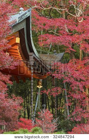 Details Of Historical Architecture And Red Maple Leaves In Kyoto, Japan In Autumn Season