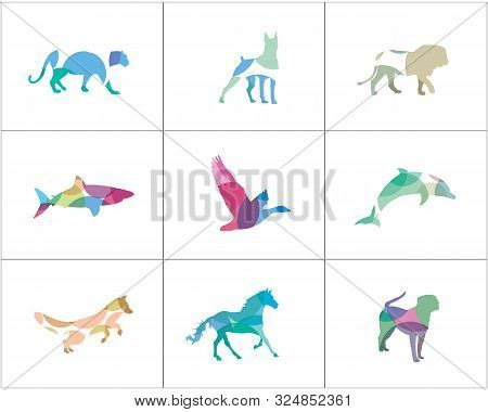 Lion And Panther Colorful Logos. Fish And Horse Icons, Dog And Fox Illustration.