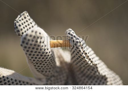 Collection Of Cigarette Butts By Volonteers On A Beach