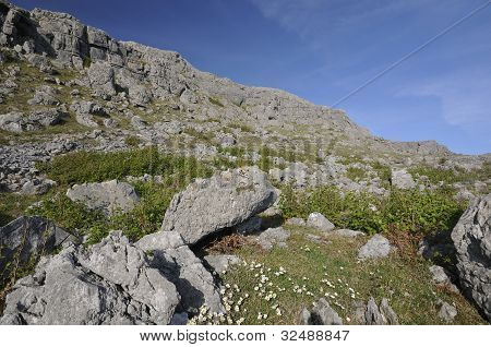 Kalksteinfelsen von mullaghmore