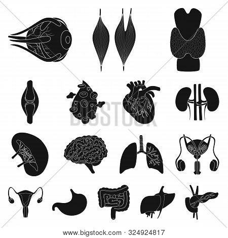 Vector Design Of Research And Laboratory Icon. Set Of Research And Organ Vector Icon For Stock.