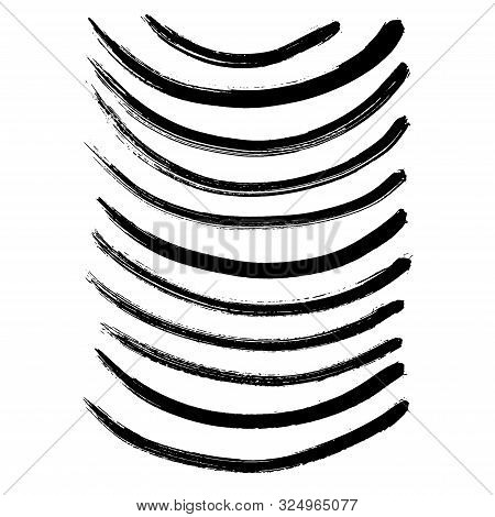Vector Abstract Black Brush Curl. Black And White Engraved Ink Art. Isolated Splas Illustration Elem