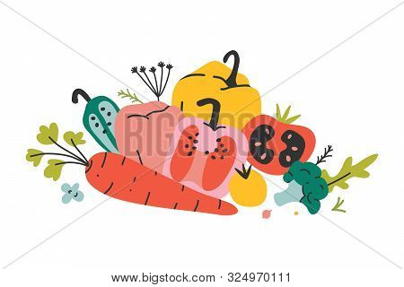 Arrangement Of Fresh Organic Vegetables, Collection Of Vector Hand Drawn Various Kinds Of Veggies. A