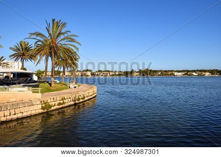 Palm Trees Growing On The Shore Of The Lake Es Llac Gran In The City Of Alcudia In Mallorca, Spain