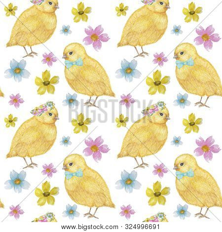 Easter Seamless Pattern Watercolor Hand Drawn Of Yellow Chiken, Spring Flowers, Willow, Bow. Colorfu
