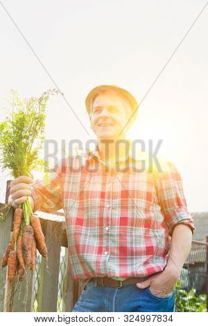Mature farmer holding carrots with yellow lens flar