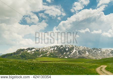 Green Meadow In Lukavica Plateau In The Spring, Montenegro