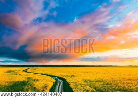 Aerial View Of Car Suv Parked Near Countryside Road In Spring Field Rural Landscape. Flowering Bloom