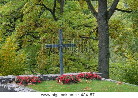 Croce tra gli alberi