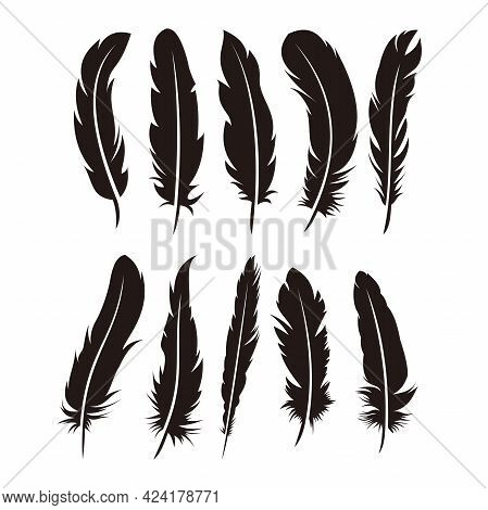 Set Of Various Feather Illustration Design, Black Feather Silhouette Template Vector