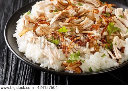 Turkey With Rice And Fried Onions Close-up In A Plate On The Table. Horizontal