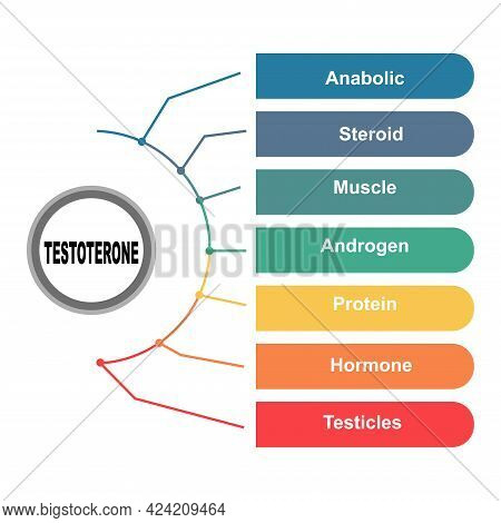 Diagram Concept With Testoterone Text And Keywords. Eps 10 Isolated On White Background